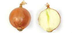 cebollas